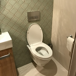 replace toilet